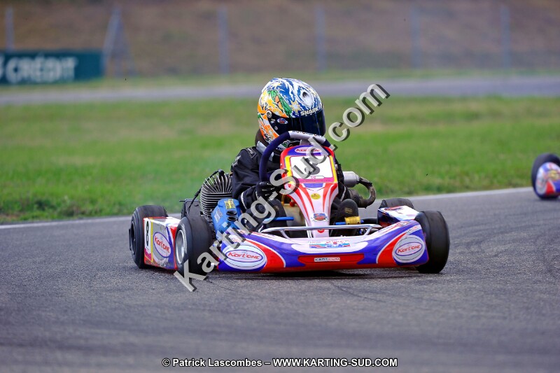 DSC_ (618).jpg
